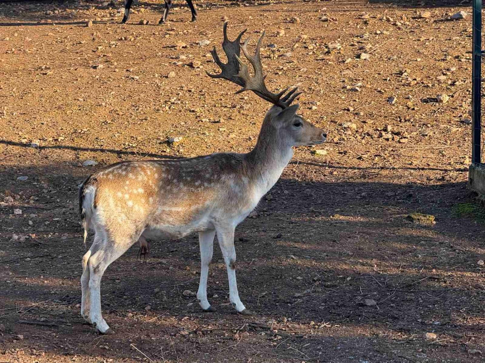 Anthidon Nature Estate & Farm Chalkida Luaran gambar