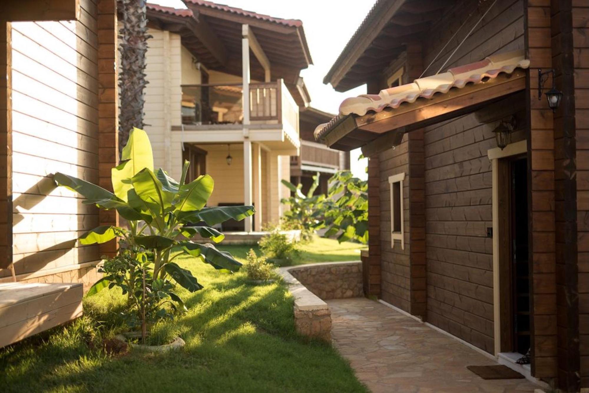 Anthidon Nature Estate & Farm Chalkida Bilik gambar